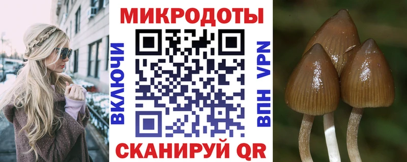 наркота  Скопин  Галлюциногенные грибы мицелий 